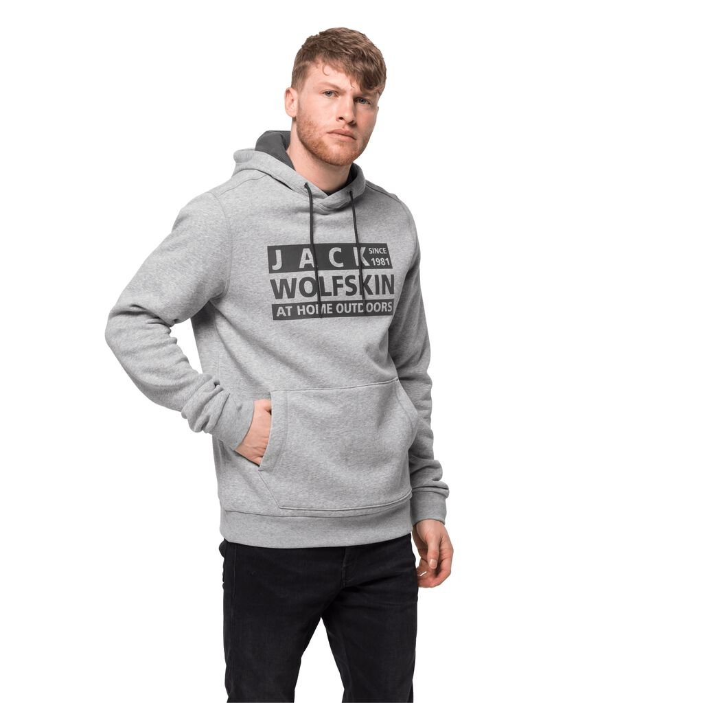 Jack Wolfskin BRAND HOODY Haut Homme Gris Clair - VLSQEZK-17